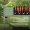 Best Choice Products 72x24x30in Non Toxic Elevated Galvanized Metal Garden Bed Corner Protectors